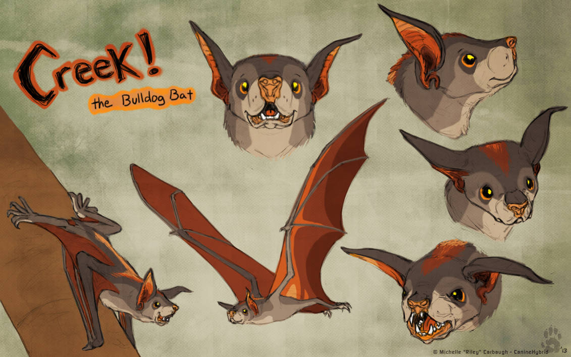 Bat Riding Deviantart Creek the Bat by CanineHybrid on DeviantArt