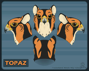 Topaz Realistic Head Reference