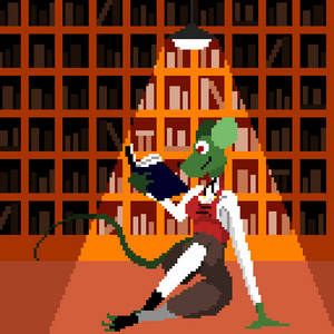 Fardarrig Librarian