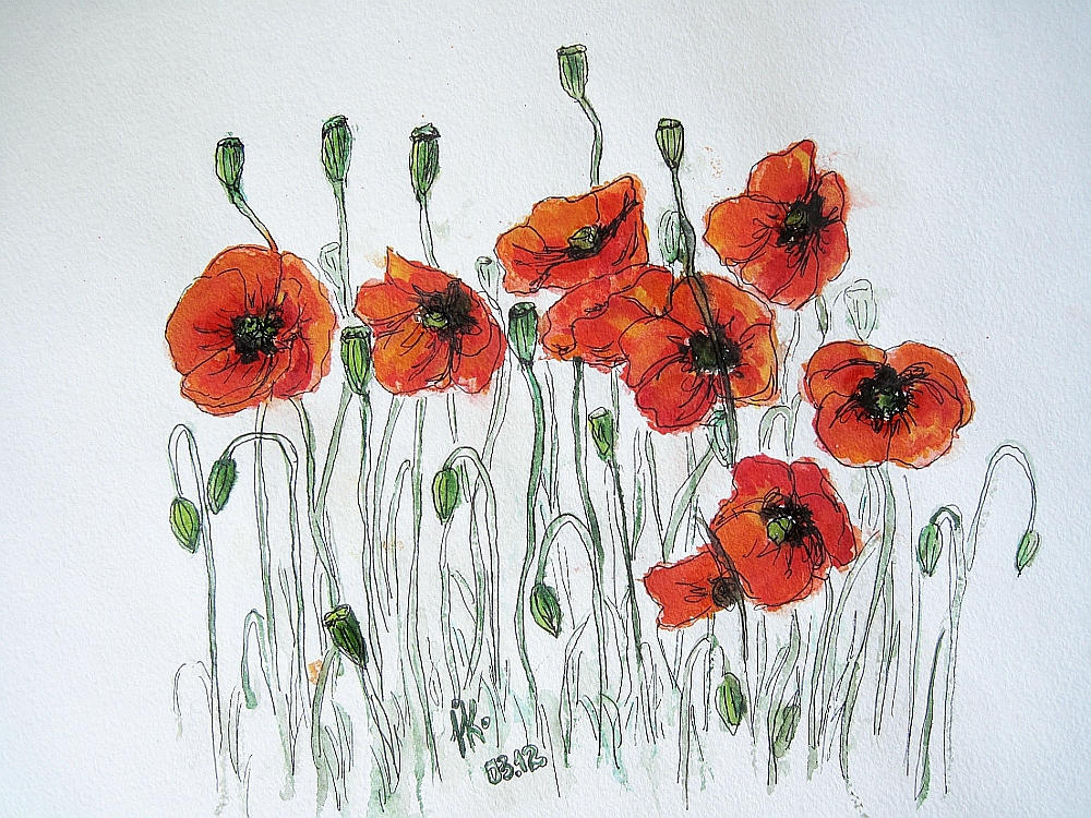 poppies