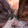 Hiking trail in Zion National Park