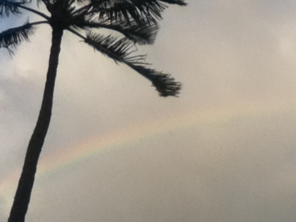 A nice rainbow on a rainy day