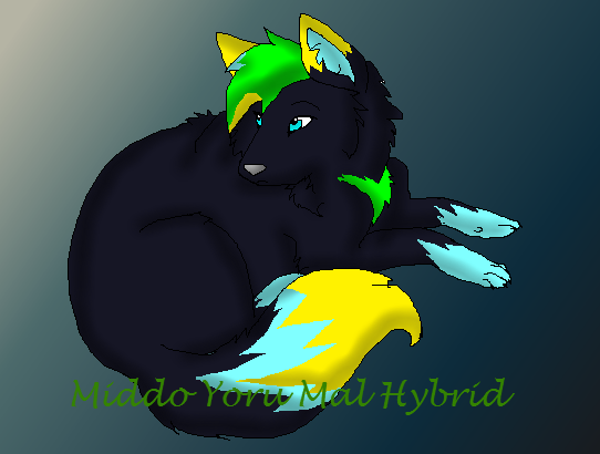 ~Xx..Meet my new oc Middo Yoru mal hybrid..xX~