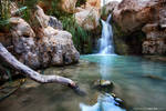 Wadi David I by Raphael-Ben-Dor