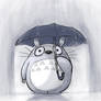 Totoro - Rainy Days