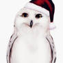 Snowey Christmas Owl