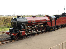 Beautiful steam locomotive