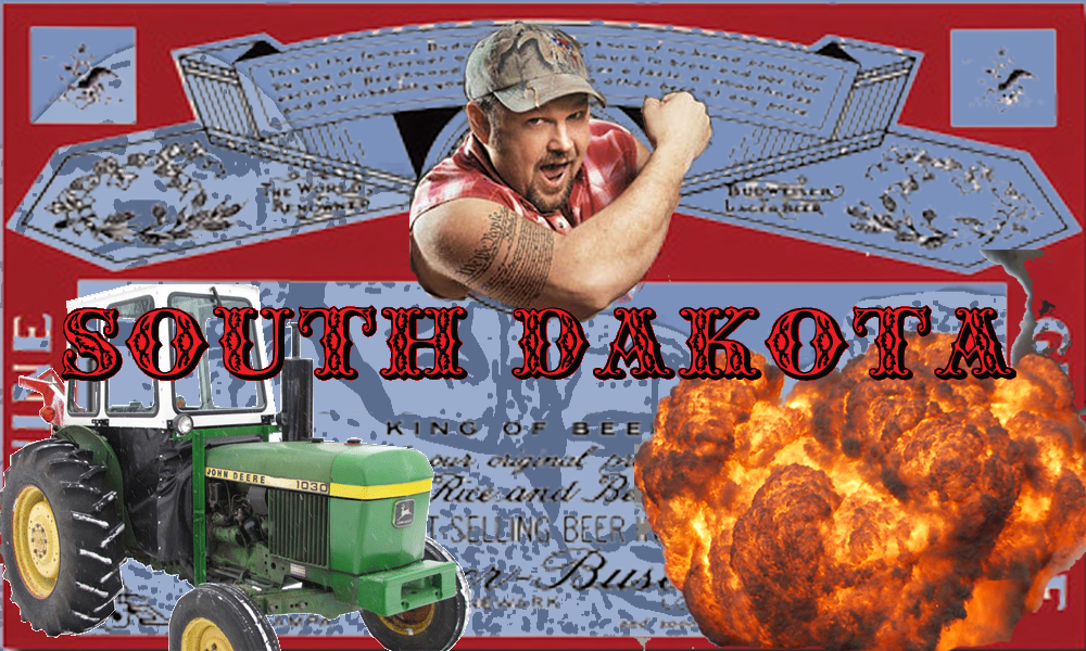 New South Dakota State Flag