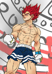 Principe Vegeta Boxeo