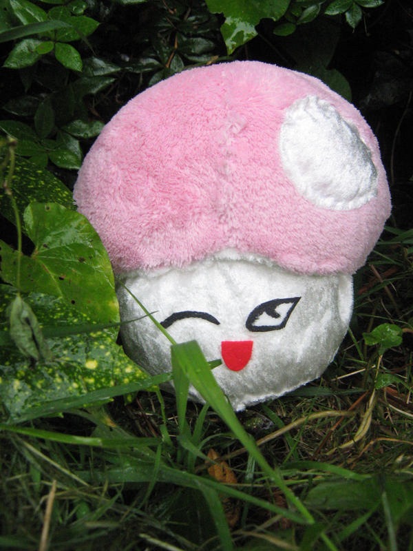 Mushroom plushie