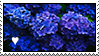 blue_flowers_stamp_by_satoshimist_dcjt23