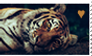 Tiger stamp