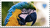Macaw stamp