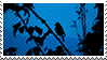 bird silhouette blue