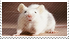 Rat stamp by SatoshiMist