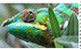 Chameleon stamp