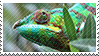 Chameleon stamp