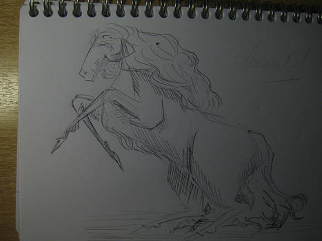 Another horse
