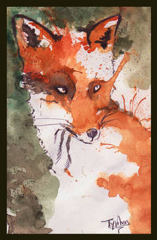 Renard