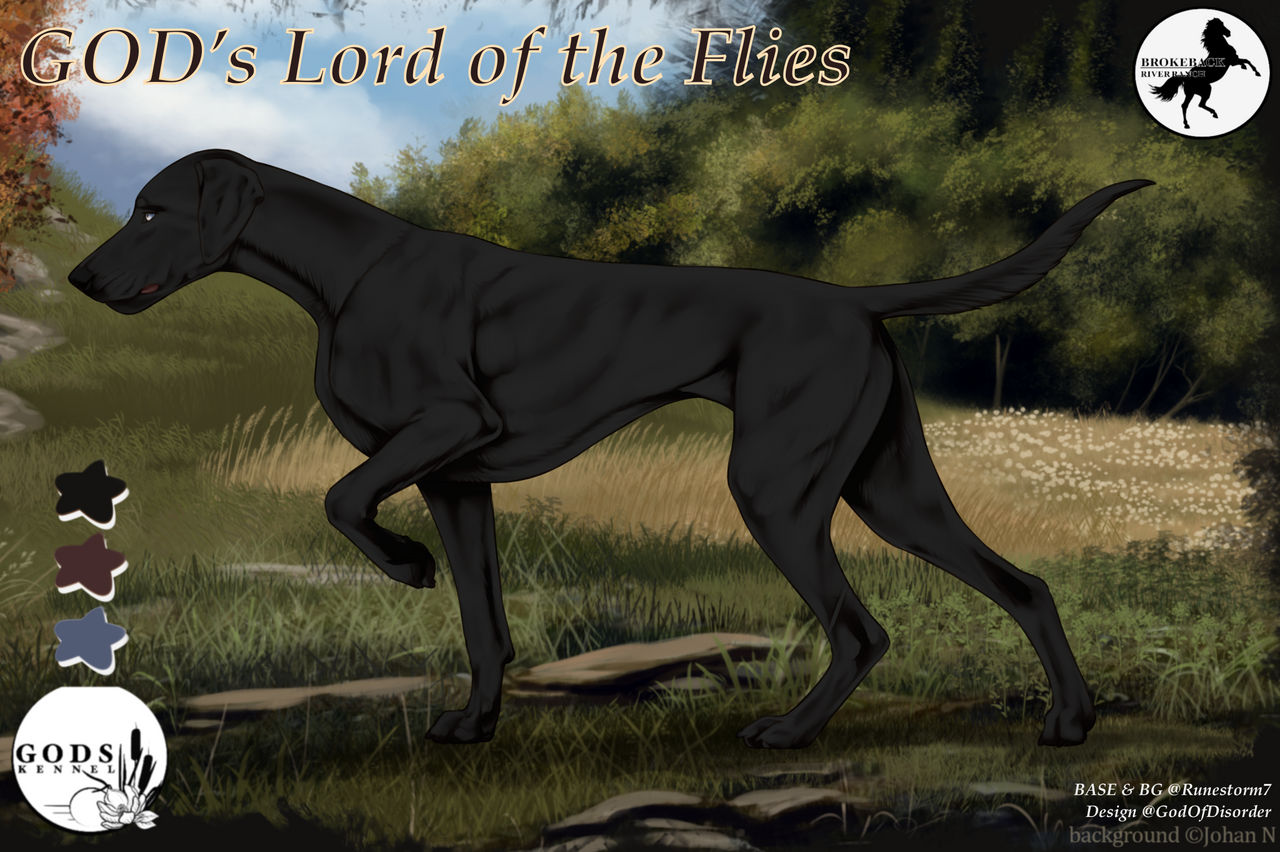 Simon Role GOD's Lord of The Flies aka Simon by GodOfDisorder on DeviantArt