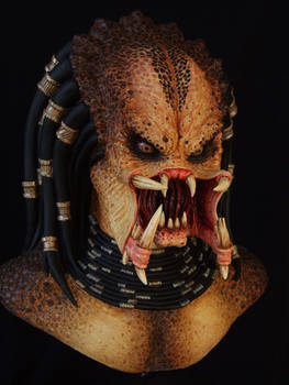 Predator bust