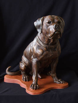 'Norman' Dog sculpt