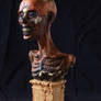 Egyptian Mummy bust