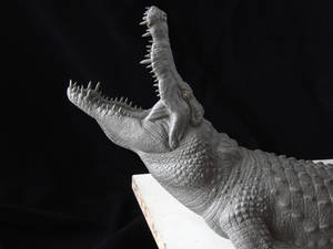 Nile Crocodile sculpt- head close-up