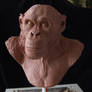 Chimpanzee sculpt.WIP front view