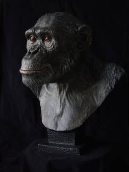 Chimpanzee sculpt - Painted cast, another angle