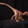 Deinonychus - prototype toy sculpture