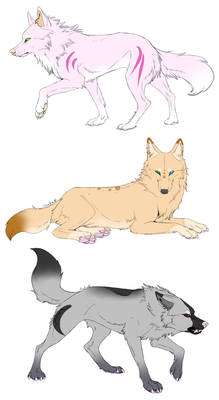 Point Wolf adoptables OPEN (3/3)