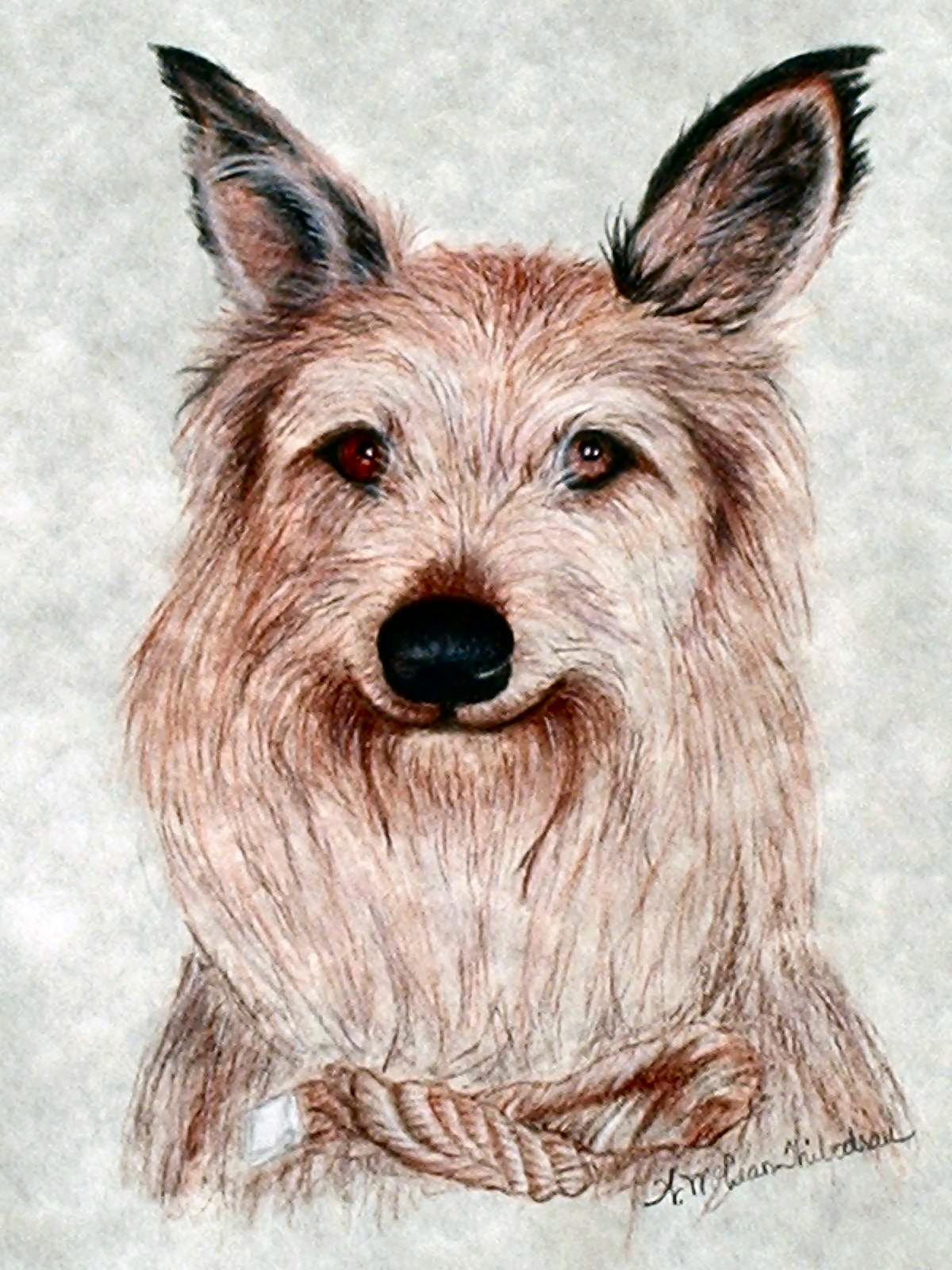 Winn Dixie By Imwanderling On Deviantart