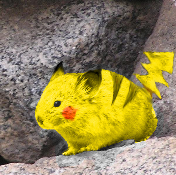 REAL PIKACHU