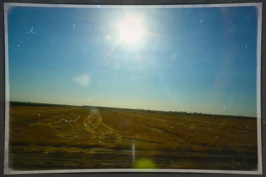 Merced's Field