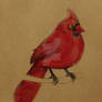 Cardinal