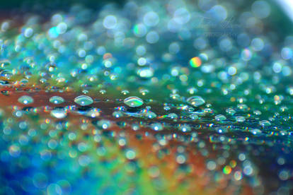 Rainbow's tears