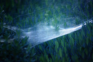 well hidden by xChristina27x well hidden by xChristina27x