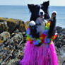 Beautiful Hula Dancing Girl