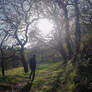 Samuel Rainwood at Beldon Brook - 2025