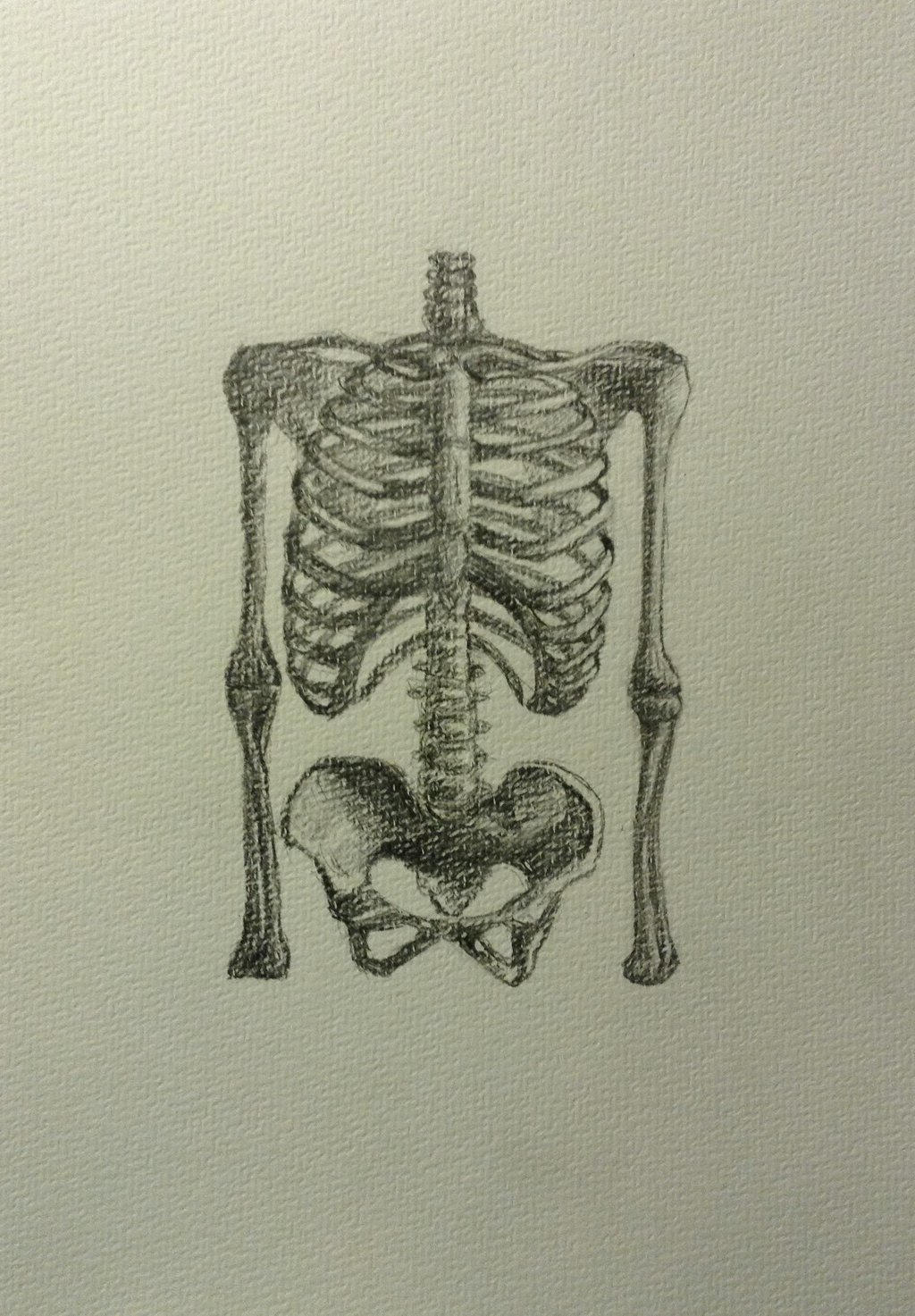 Skeleton practice