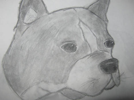 another dog sketch.