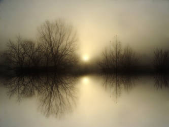 Fog Lake II