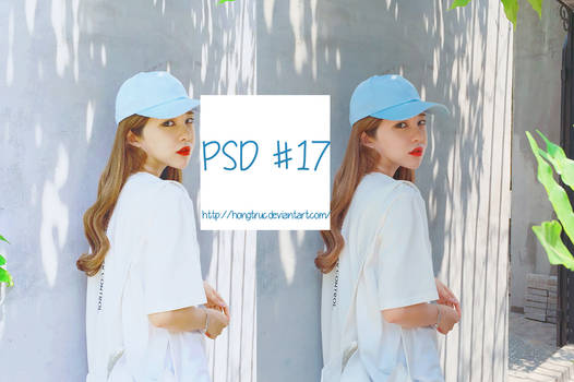PSD #17