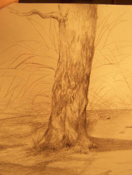 Tree study