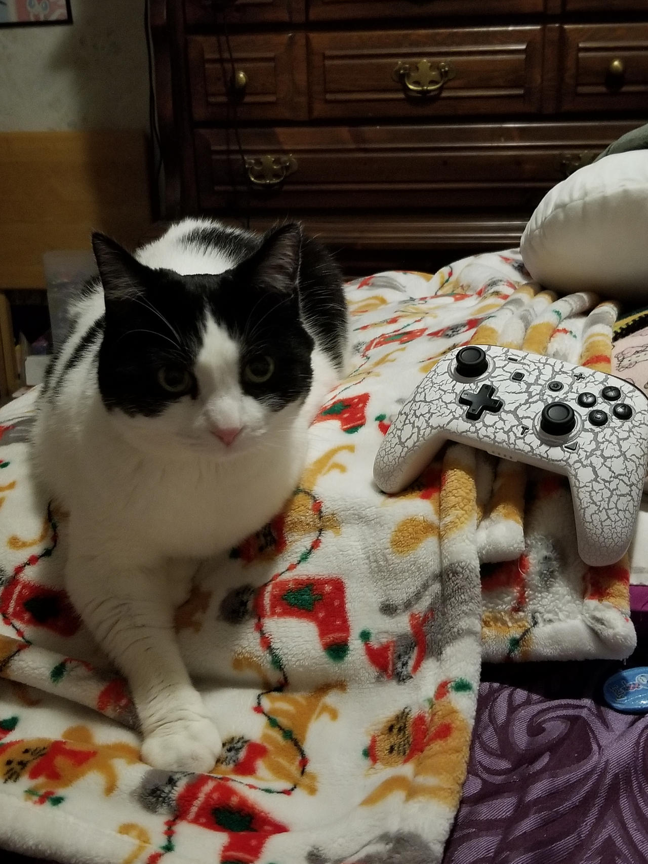 Gamer Cat Gamer cat by MsHawkyEspeon on DeviantArt