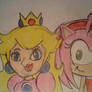 Princess Peach and Amy Rose