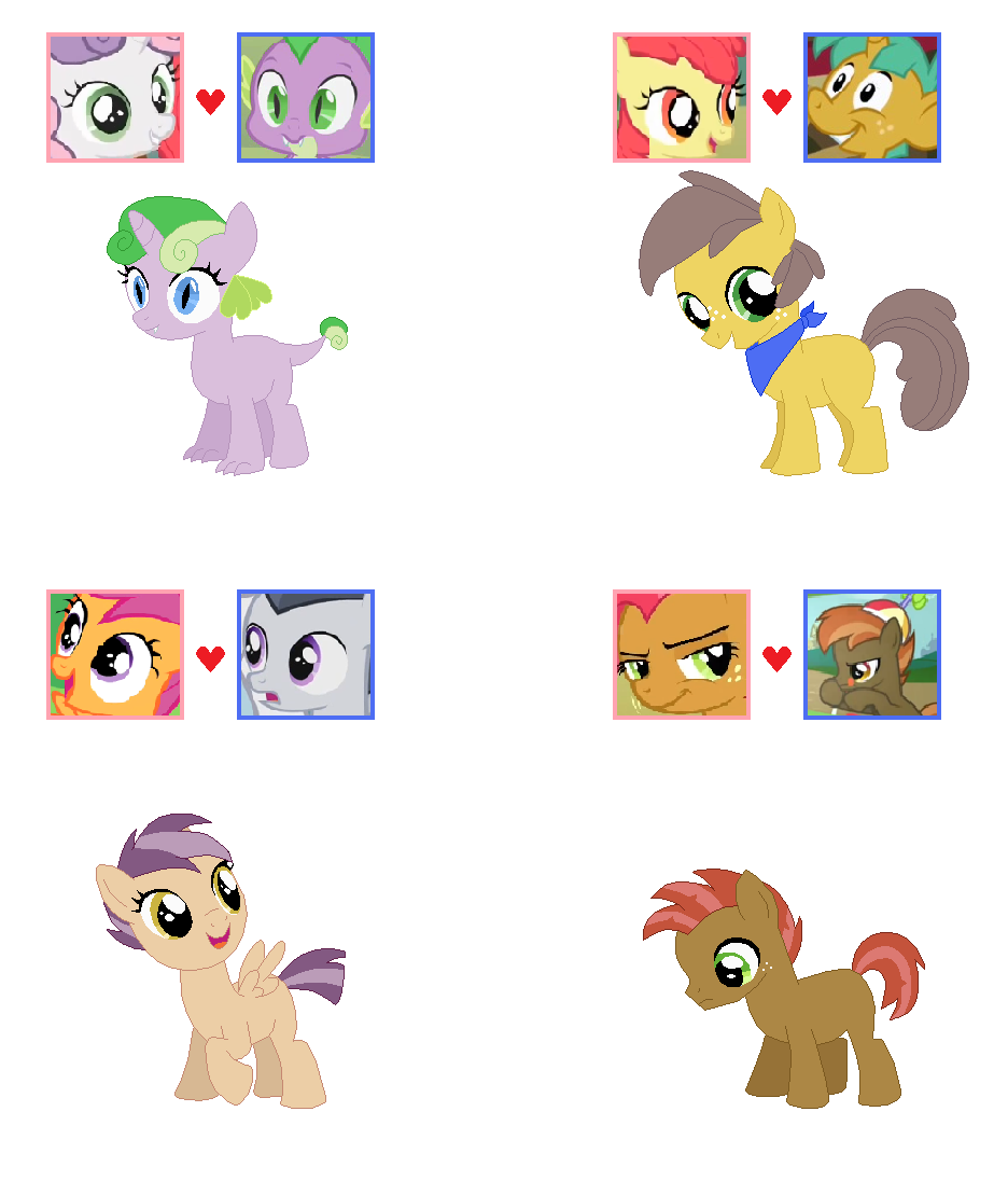 CMC Foal Adoptables