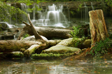 Forest waterfall background