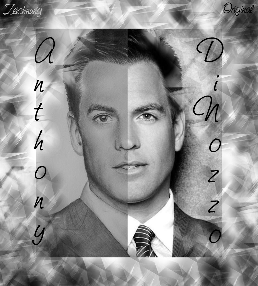 Tony DiNozzo